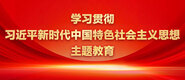 女生的逼的软件学习贯彻习近平新时代中国特色社会主义思想主题教育_fororder_ad-371X160(2)